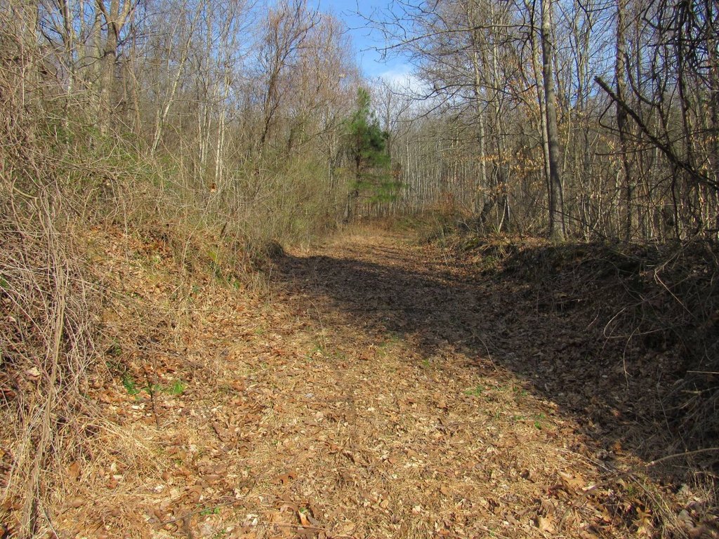 Picture 4