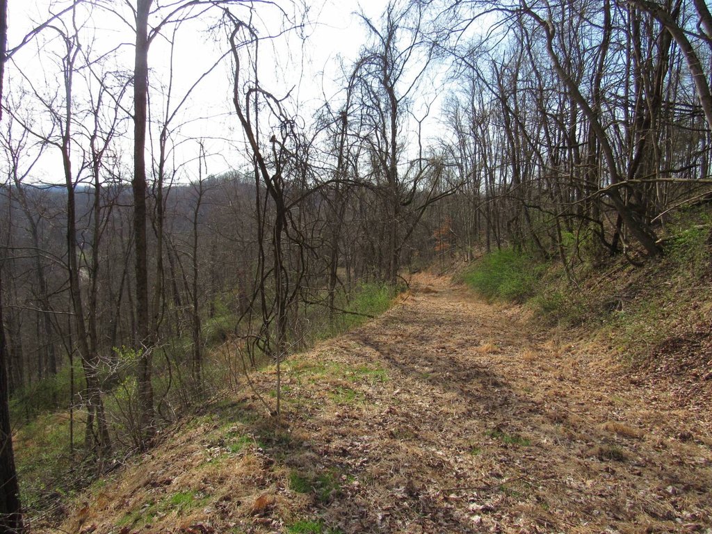 Picture 9
