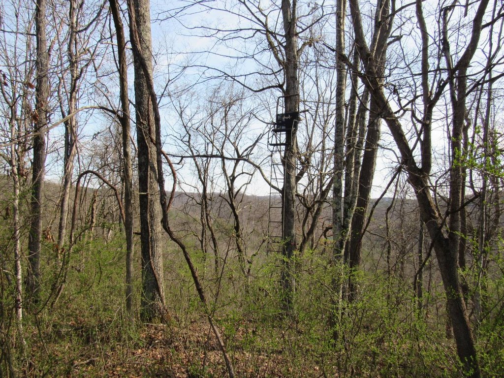 Picture 15