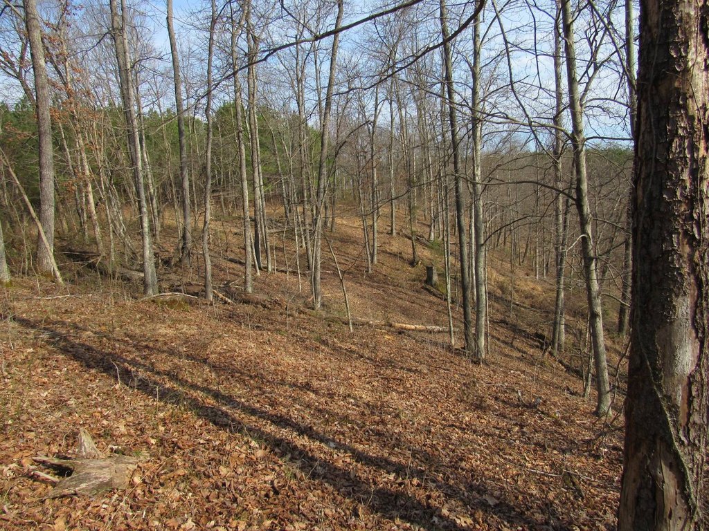 Picture 17