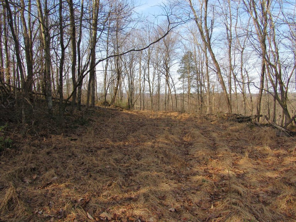 Picture 19