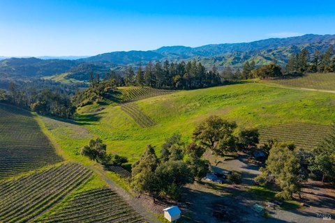 Knights Valley Vineyard Estate