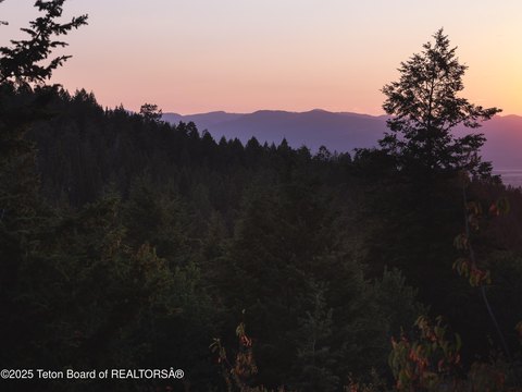 Wooded Land Parcel in Victor, ID