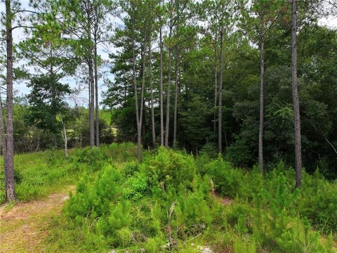LAND - Saraland, AL