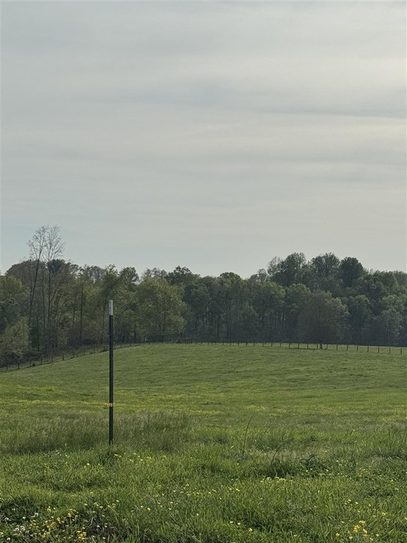 Picture 51