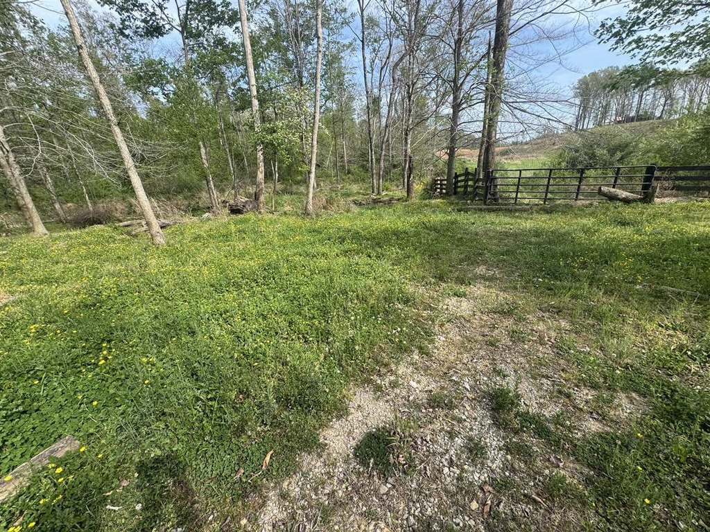 Picture 41