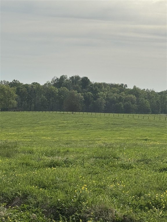 Picture 48