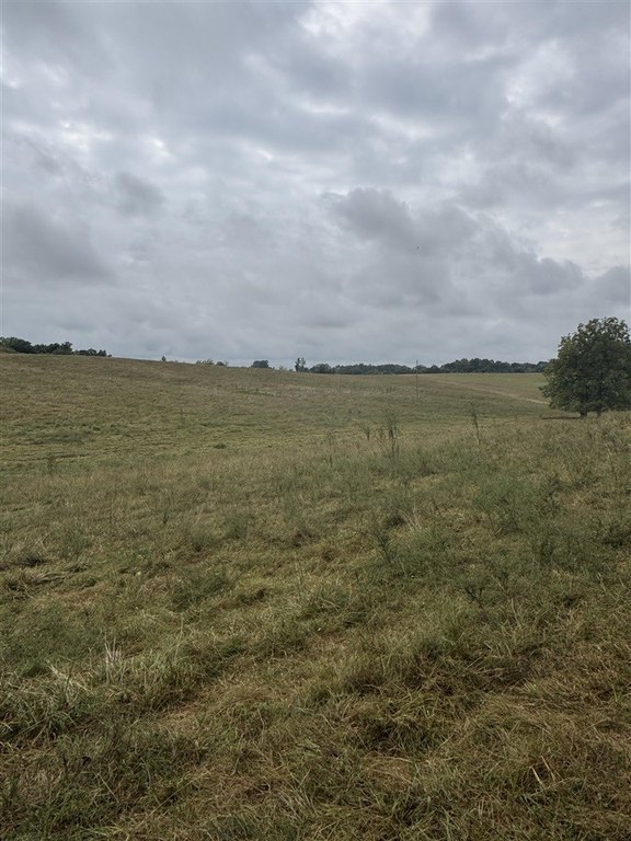 Picture 34