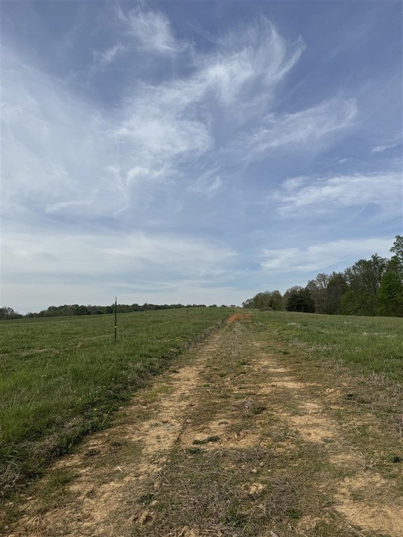 Picture 56