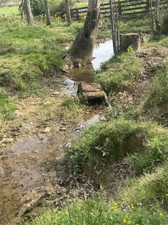Picture 43