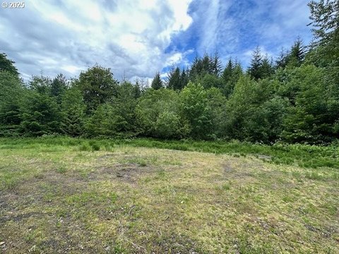 Secluded Land Near Downtown Kalama