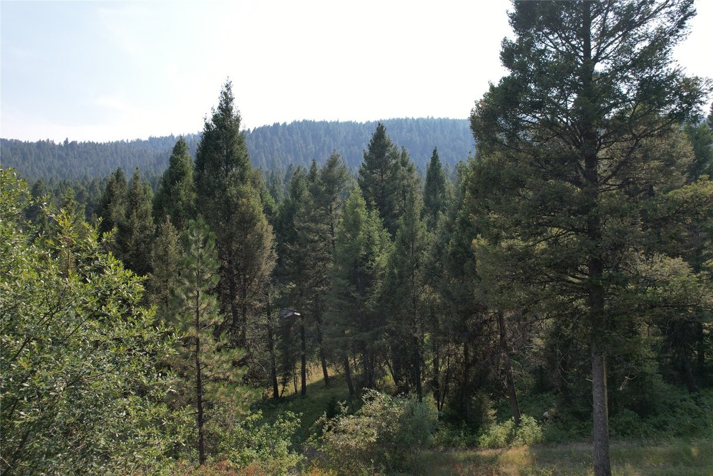 Picture 61