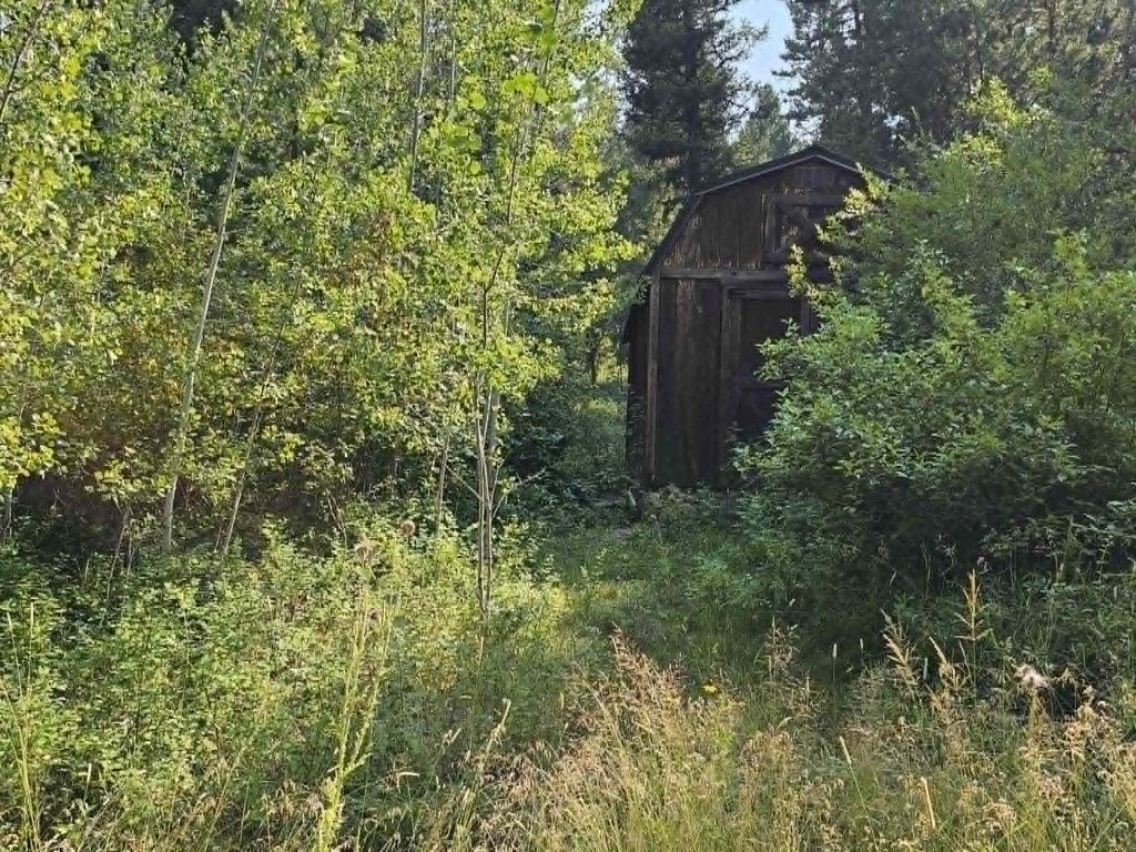 Picture 33