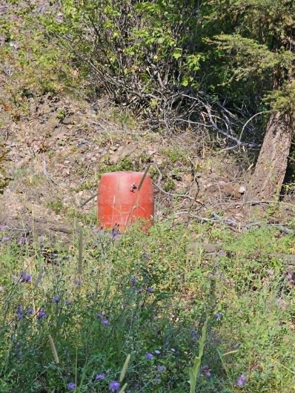 Picture 48