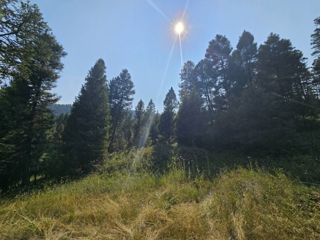 Picture 28
