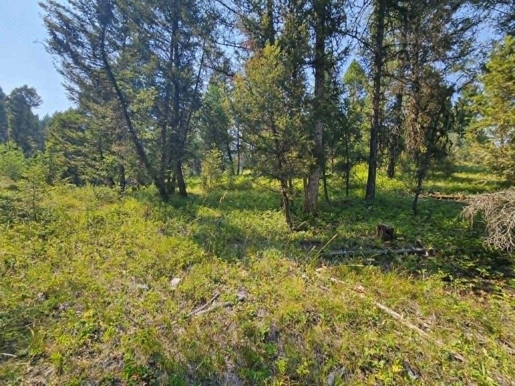 Picture 36