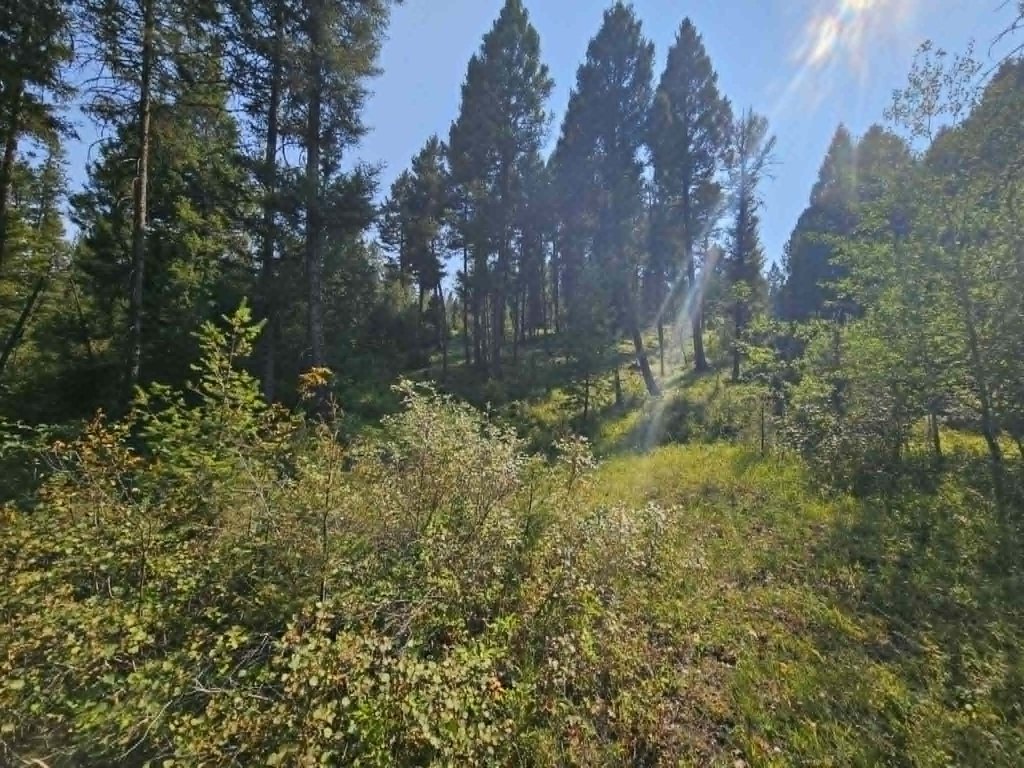 Picture 23