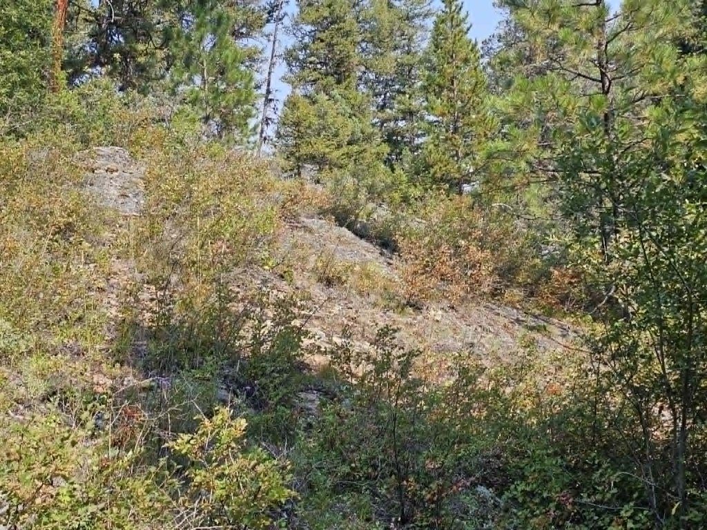 Picture 50