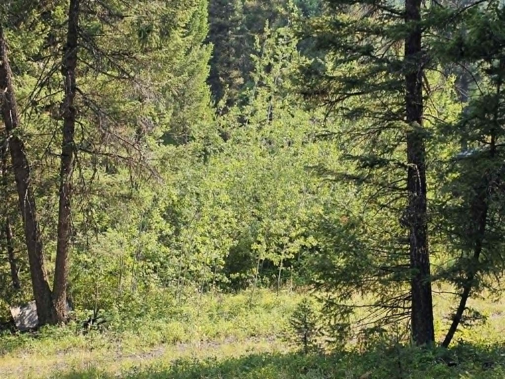 Picture 40
