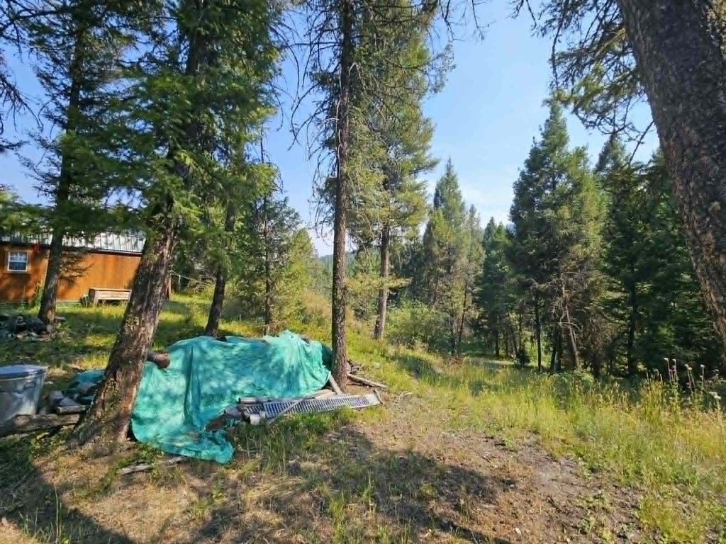 Picture 13