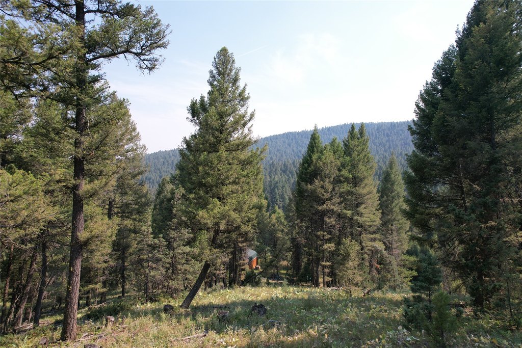Picture 64