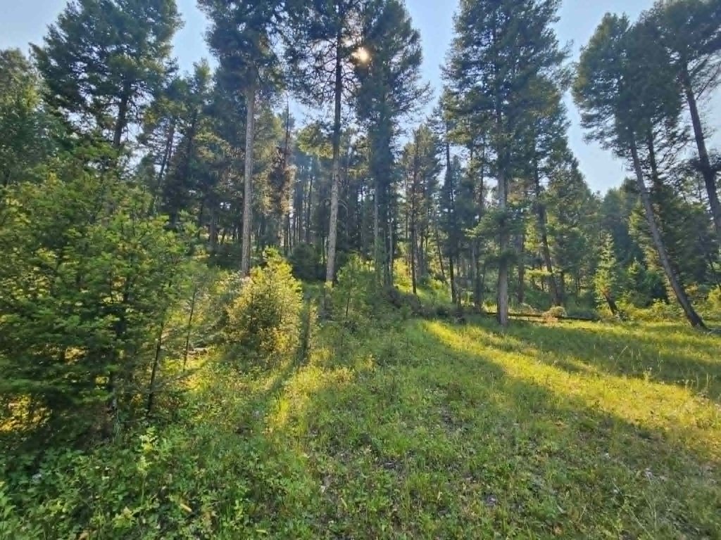 Picture 24