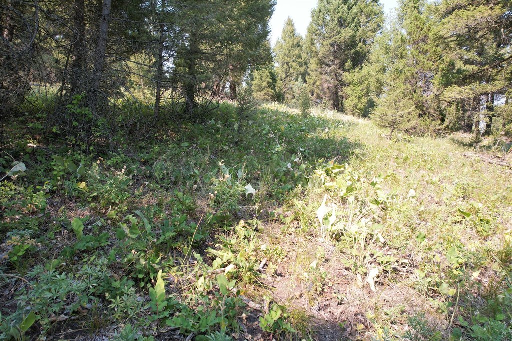 Picture 69