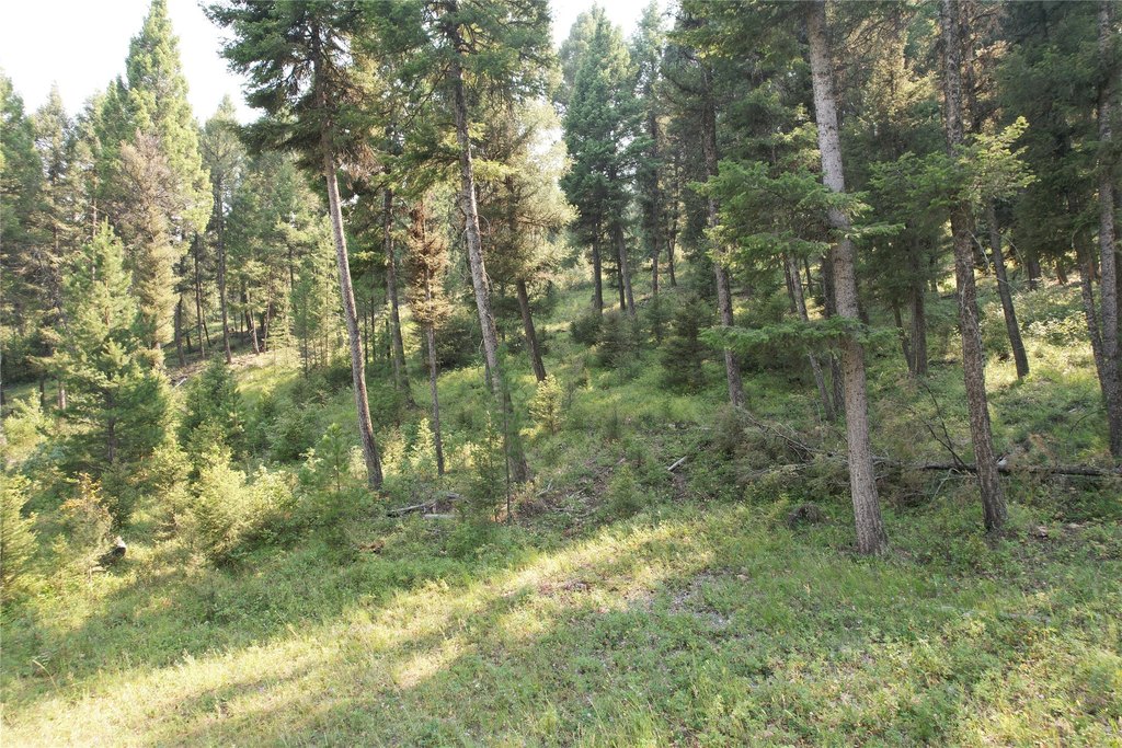Picture 81