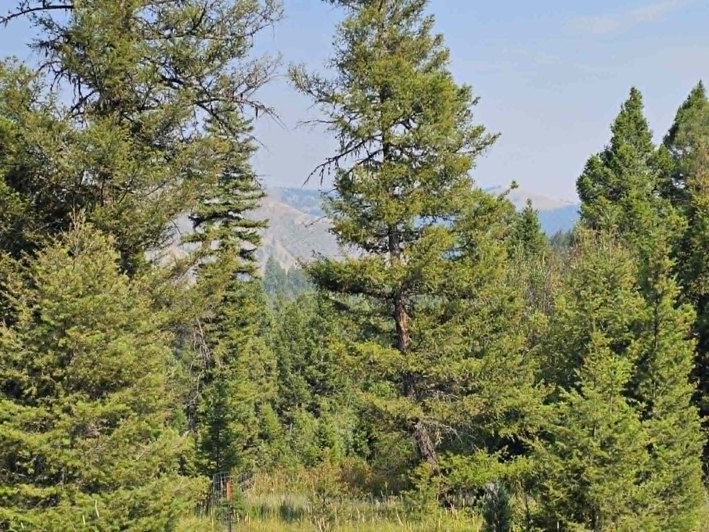 Picture 26