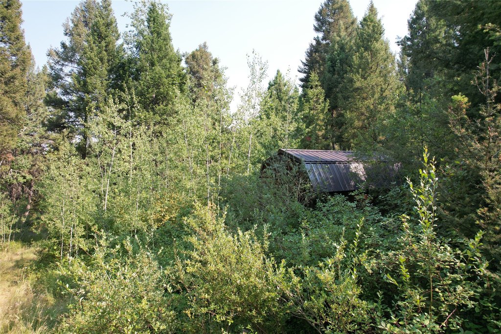 Picture 32