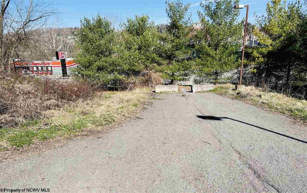 Picture 11