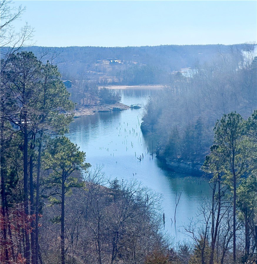 Beaver Lake View Buildable Lots