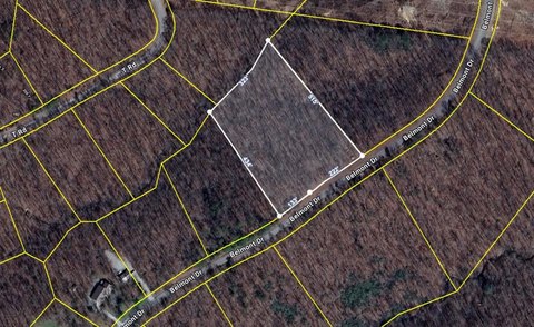 Wooded Land in Cumberland Cove