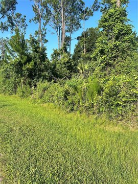 LAND - PALM COAST, FL