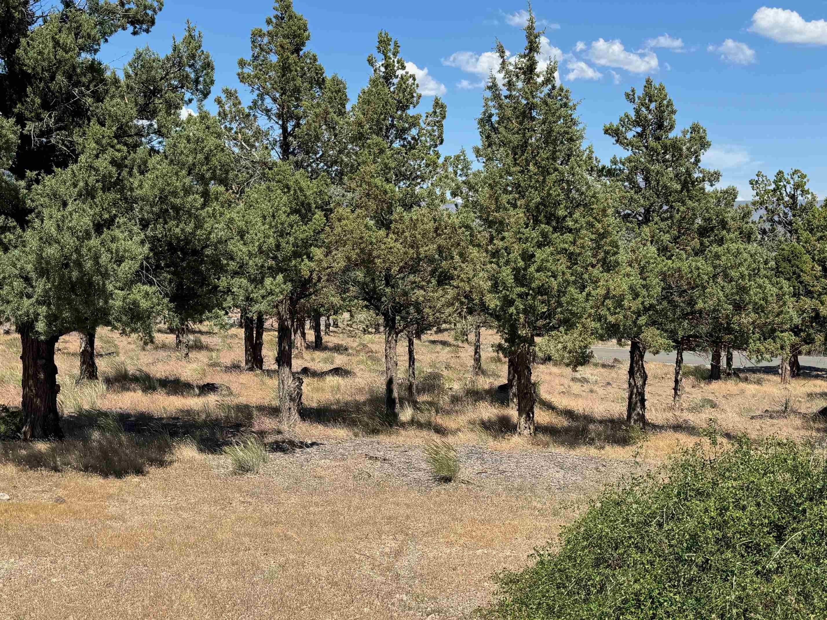 Land with Mt. Shasta Views