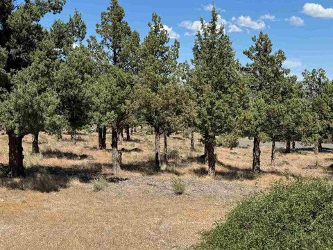 Land with Mt. Shasta Views