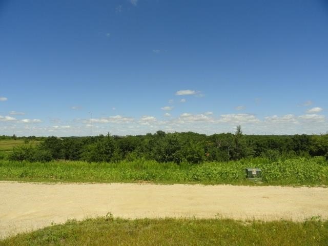 Picture 19
