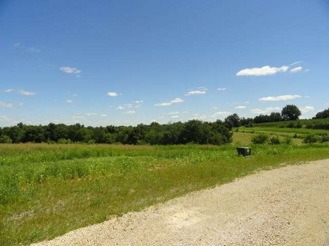 Picture 11