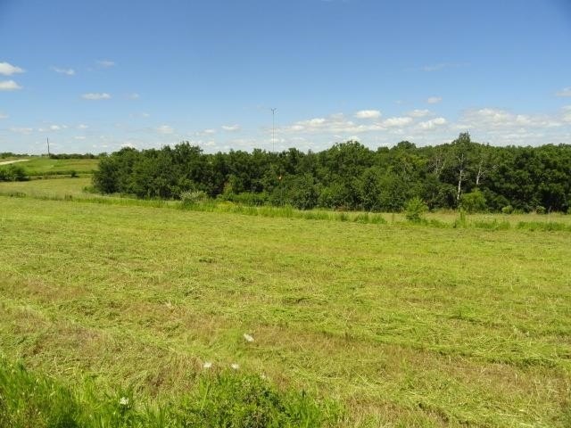 Picture 24