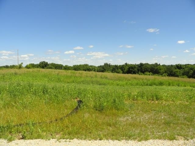Picture 12