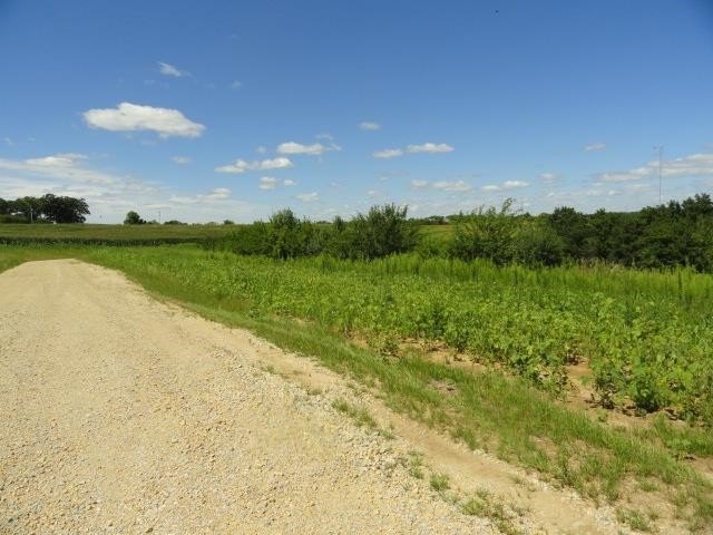 Picture 20