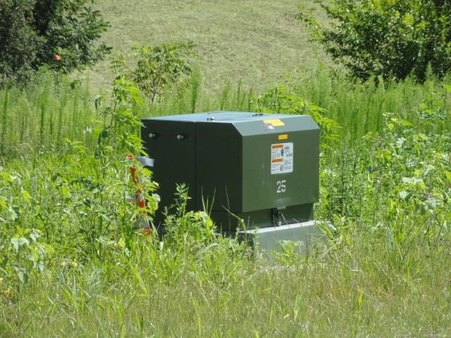 Picture 13