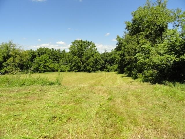Picture 26