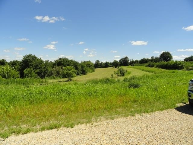 Picture 15