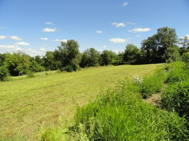 Picture 23