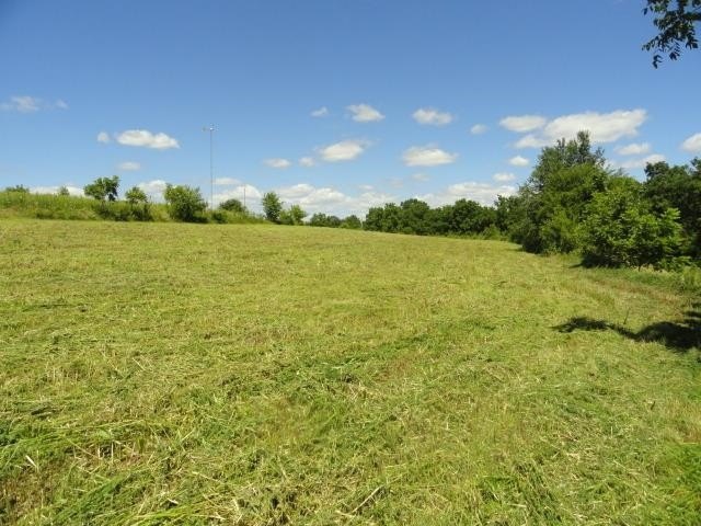 Picture 36