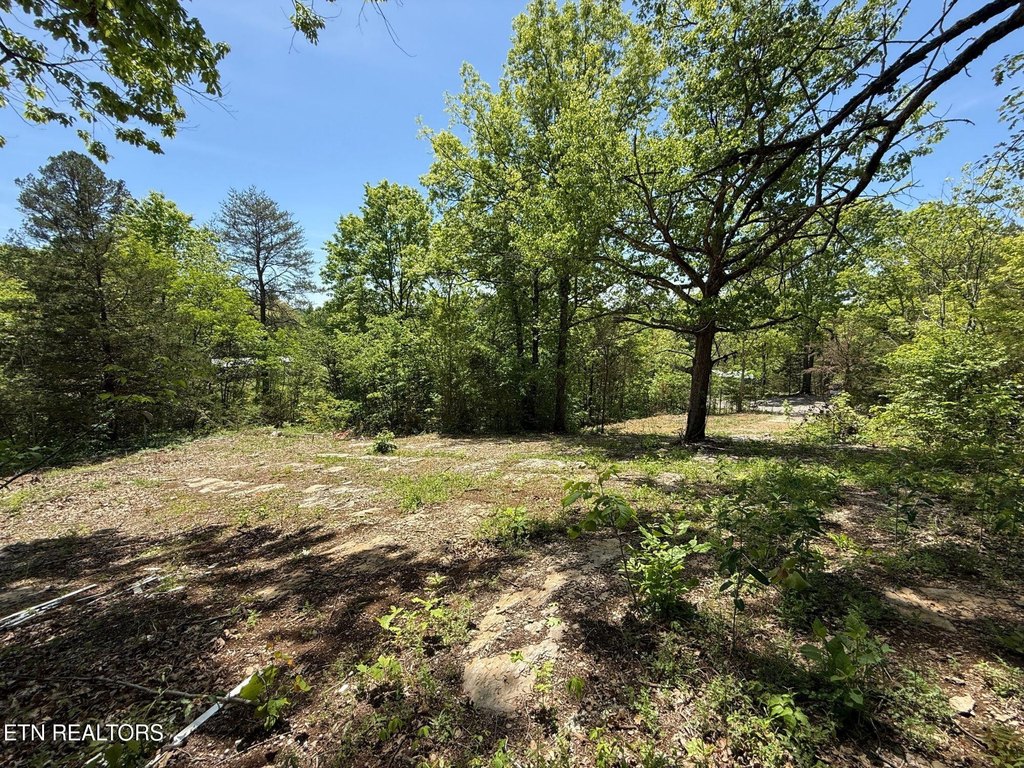 Picture 18