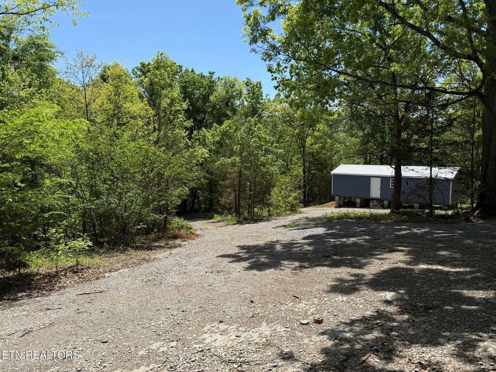 Picture 19