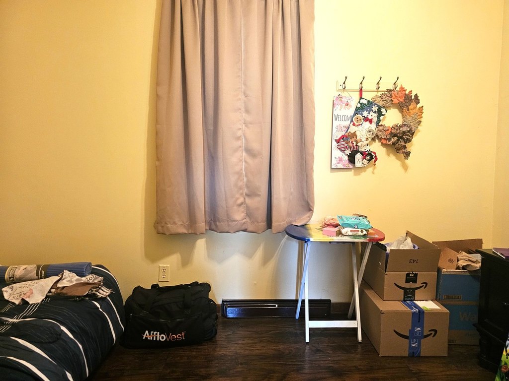 Picture 6