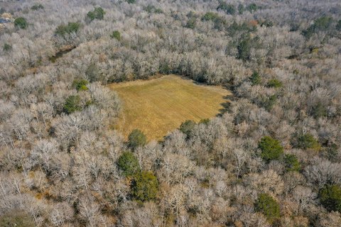Timber Hunting Land with River Frontage